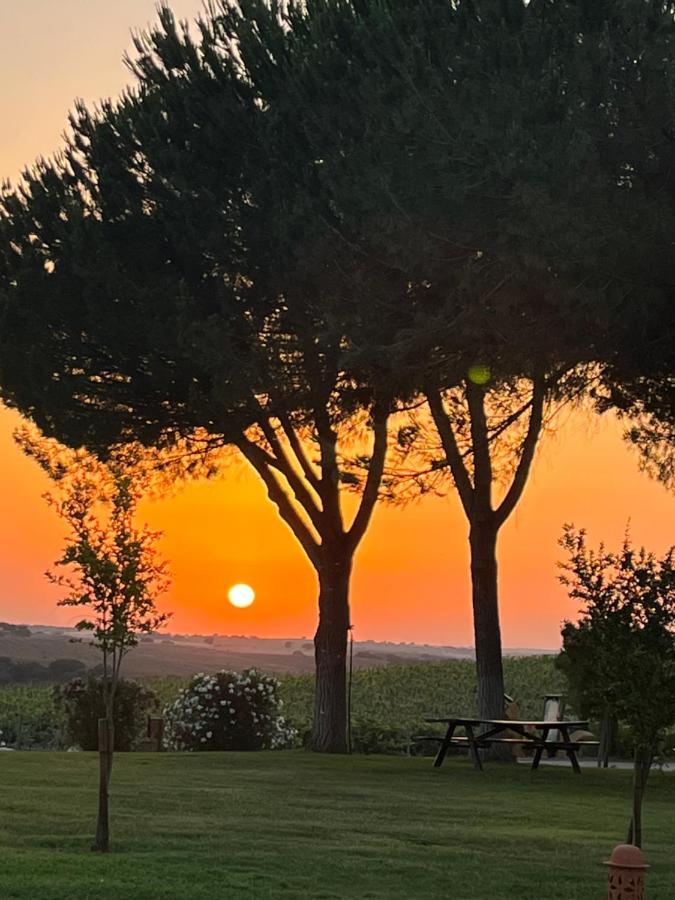 Quinta Da Amoreira Ferreira Do Alentejo Dış mekan fotoğraf