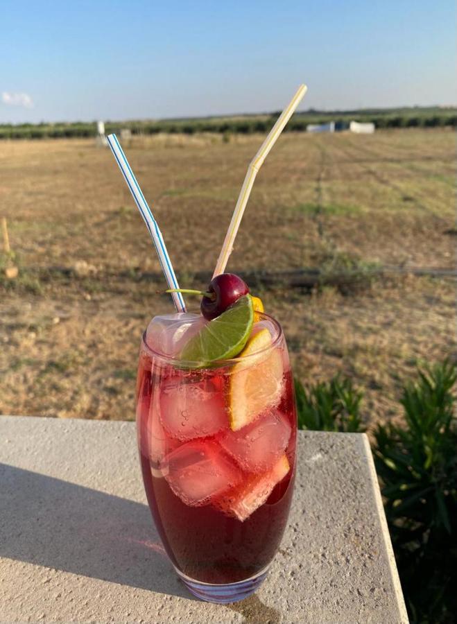 Quinta Da Amoreira Ferreira Do Alentejo Dış mekan fotoğraf