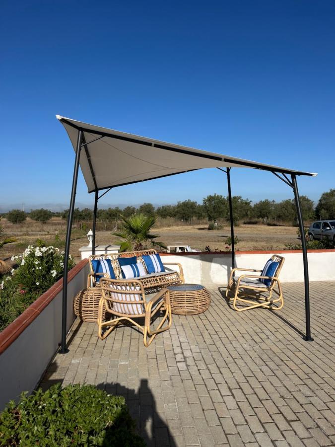 Quinta Da Amoreira Ferreira Do Alentejo Dış mekan fotoğraf