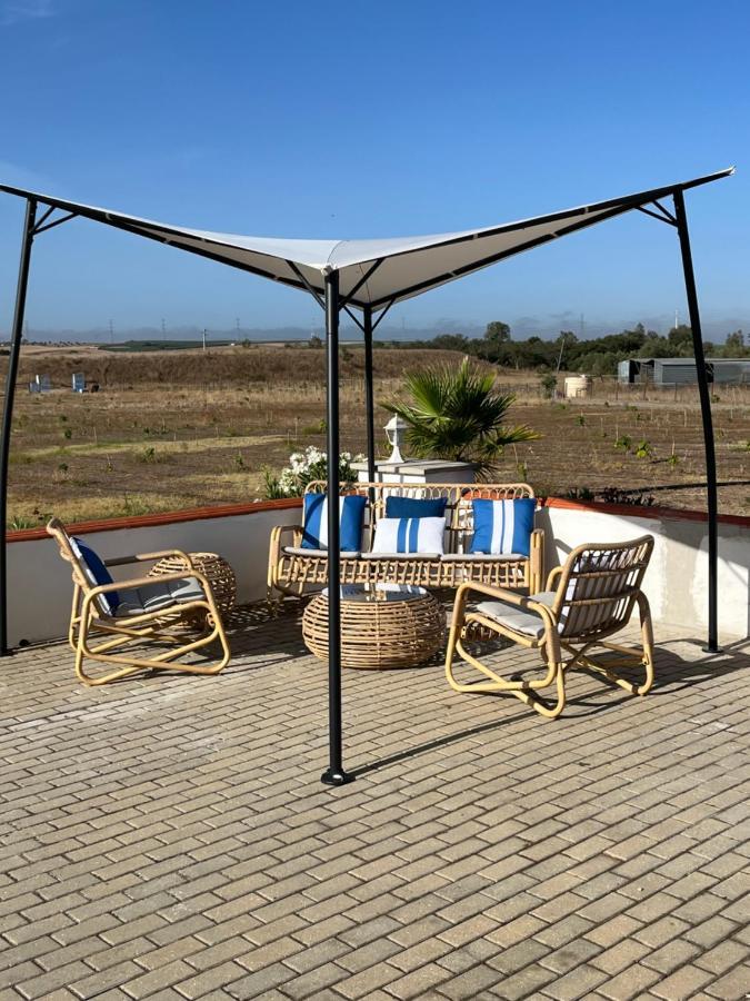 Quinta Da Amoreira Ferreira Do Alentejo Dış mekan fotoğraf