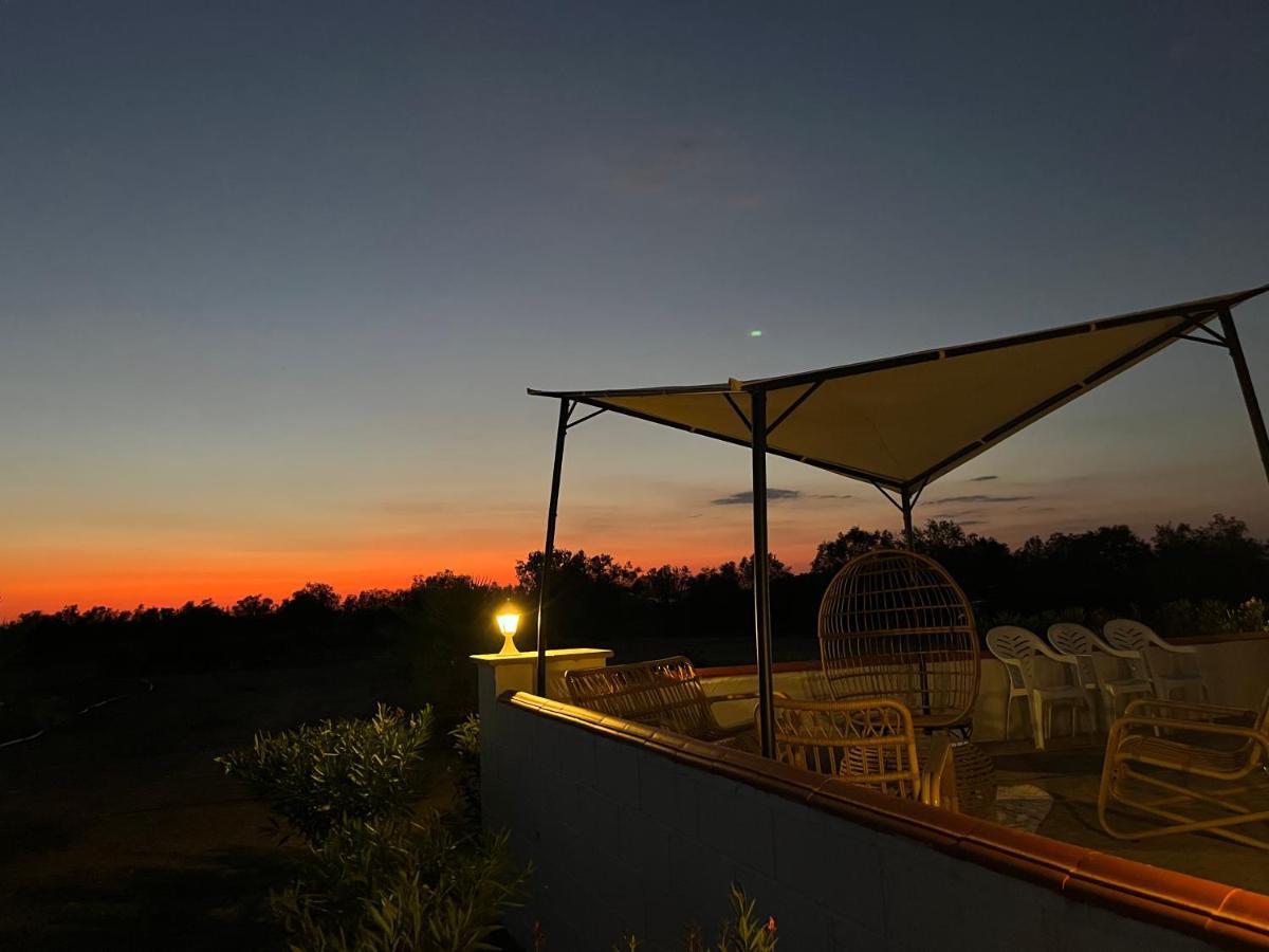 Quinta Da Amoreira Ferreira Do Alentejo Dış mekan fotoğraf