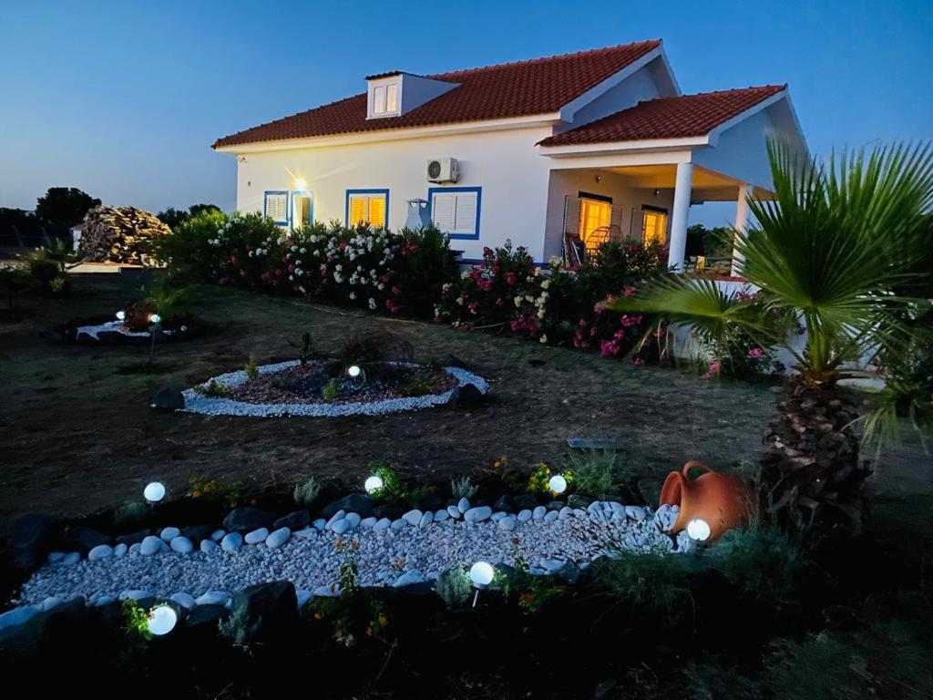 Quinta Da Amoreira Ferreira Do Alentejo Dış mekan fotoğraf